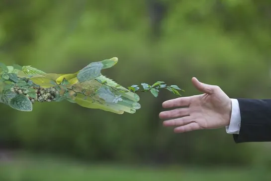 Sustainable business